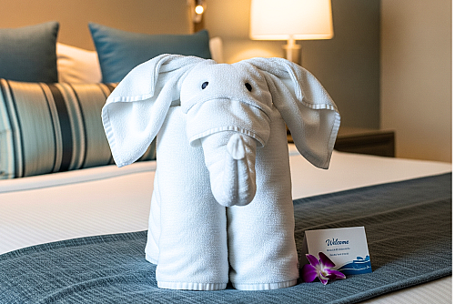 Elephant towel Fold